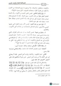 شر كتاب إعتقاد اهل السنة/ إسماعيلي.دار ابن الجوزي  SHARH E'TIQAD AHL SUNNAT - Image 2