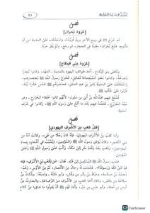 الفصول في سيرة الرسول. الحافظ ابن كثير /   AL-FUSUL FI SIRAT RASUL - Image 3