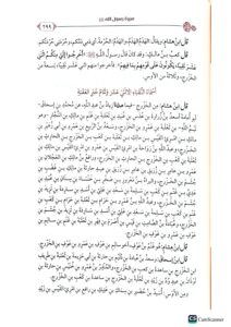 سيرة رسول الله / ابي محمد عبد الملك البصري . مركز سطورSEERAH RASUL - Image 3